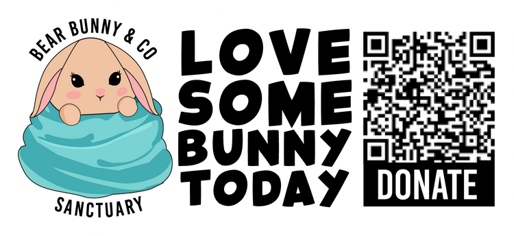 BEAR BUNNY & CO. RAFFLES & GIVEAWAYS