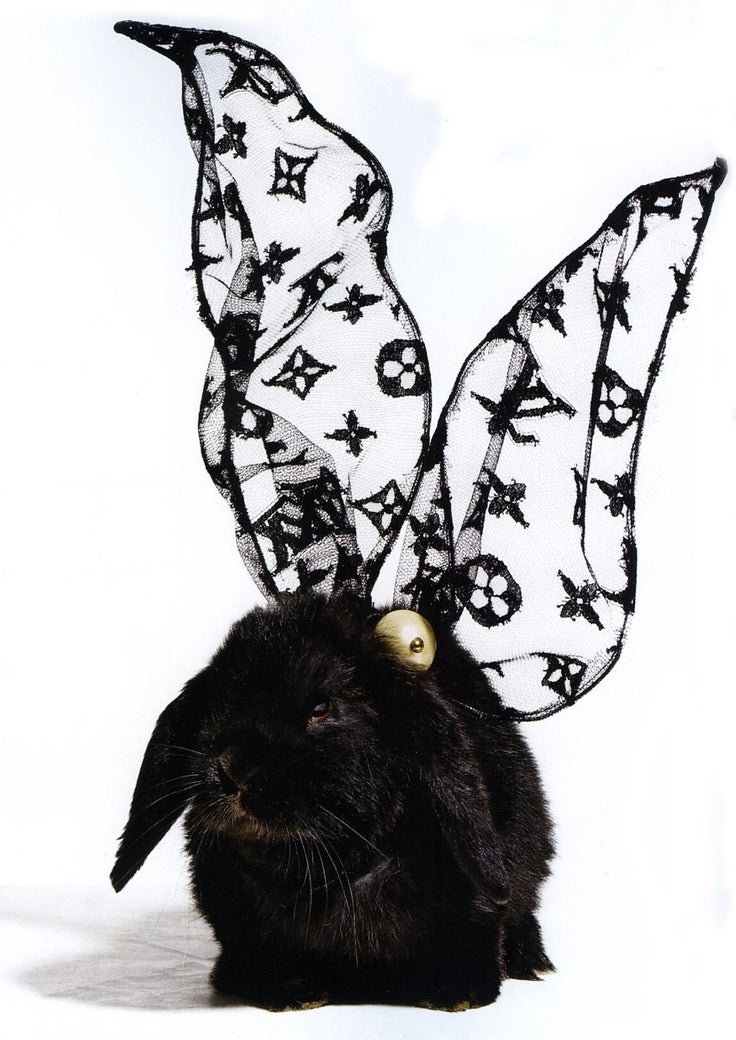 Bunny Lux Member